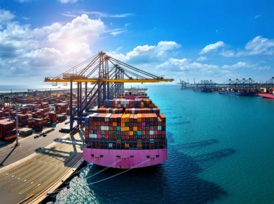 Comprehensive ExportImport Training From Regulations Procedures to Customs Valuation